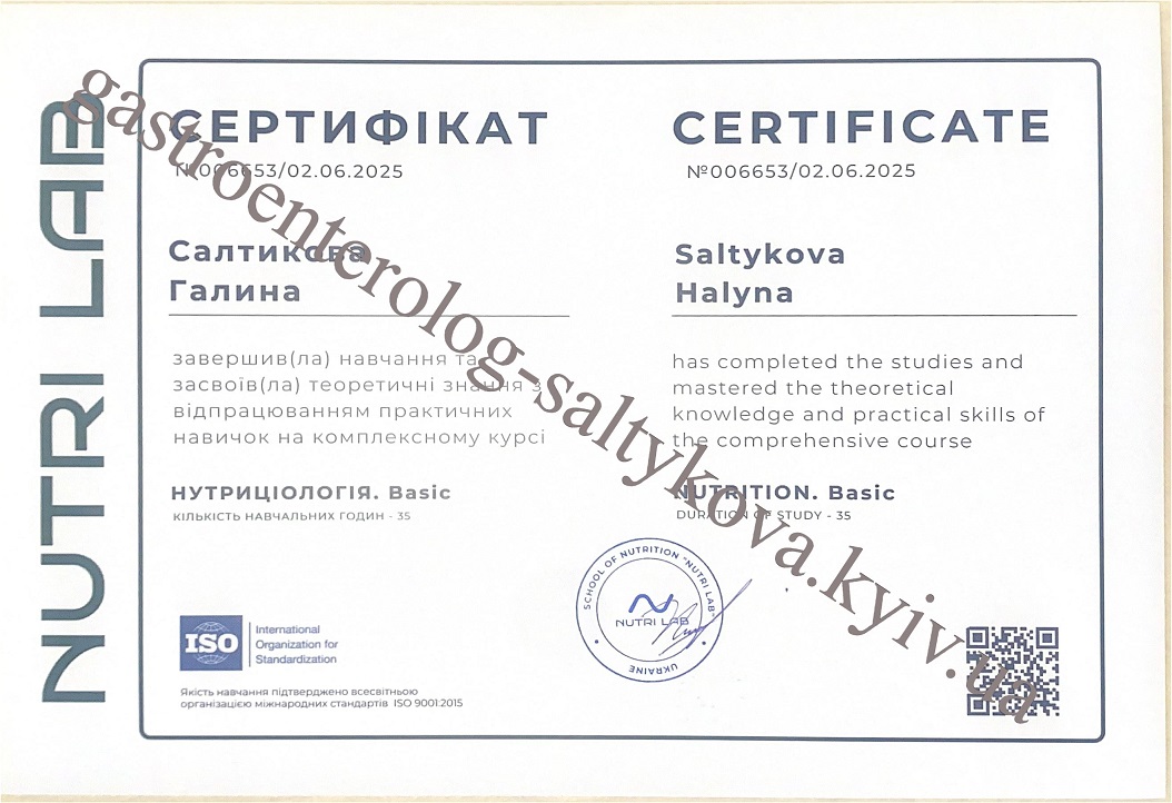 Салтикова вікіпедія